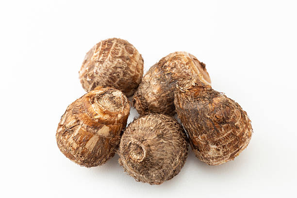 Asian Taro