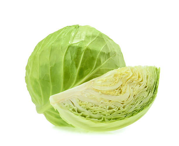 White round cabbage