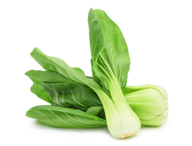 Pak Choy