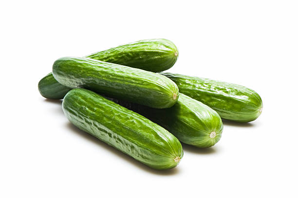 Cucumber