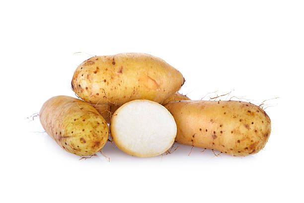 Yam