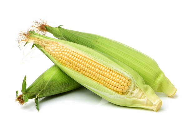 Corn