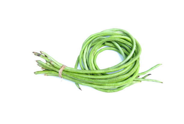 Snake Bean